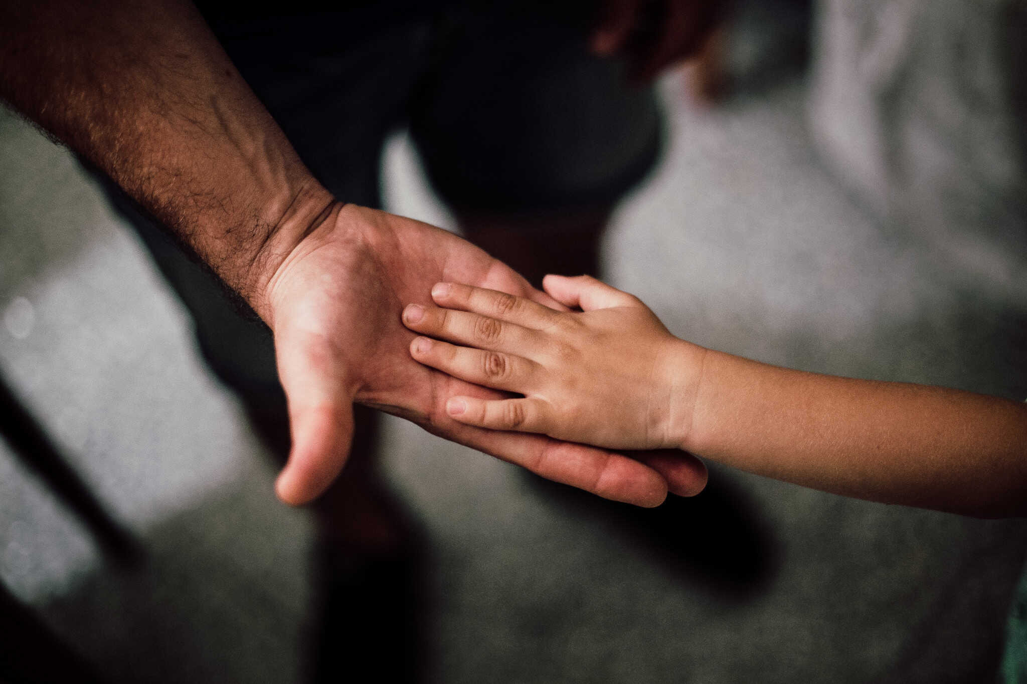 advocate for family court in dubai